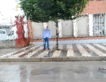  Colecci�n de oto�o #6 